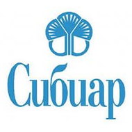Подарок при покупке Сибиар